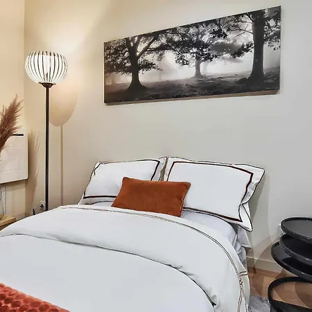 Cozy Confort Villeurbanne