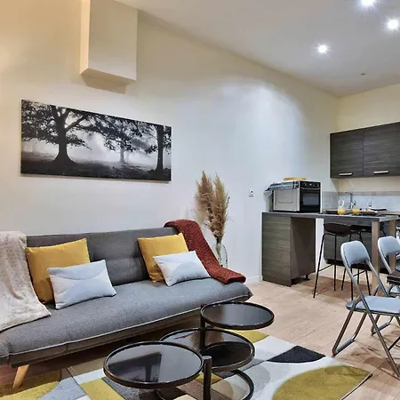Cozy Confort Apartment Villeurbanne